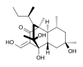 Betaenone A