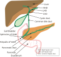 Biliary tract