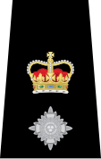 File:Chief Superintendant Epaulette.svg