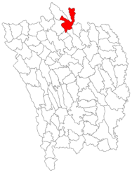 Location in Vaslui County