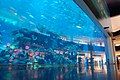 Acrylic panel at Dubai Aquarium & Underwater Zoo.