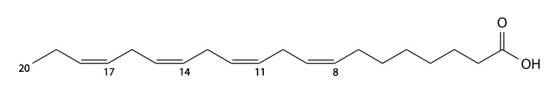 File:Eicosatetraenoic acid.svg