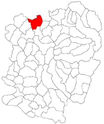 Location in Caraș-Severin County