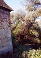 Légrády-Miszori mill, southeastern corner of the mill, Kemendollár, 2006