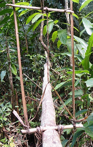 File:Lemur Hunting Trap.jpg