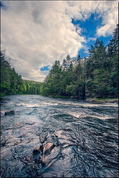 File:Neversink river.jpg