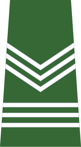 File:ROTU-Army-Sr-Sgt.svg