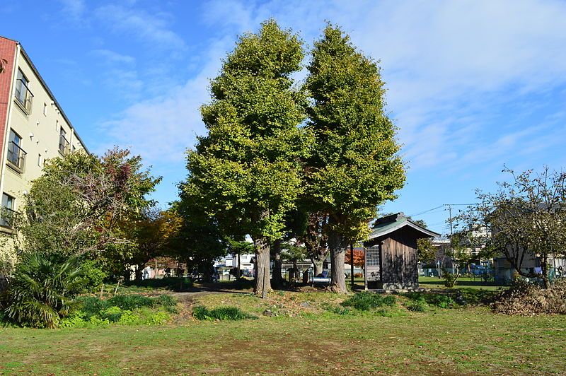 File:Sagami-kokubun-niji-ato kondou.JPG