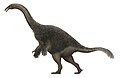 Segnosaurus