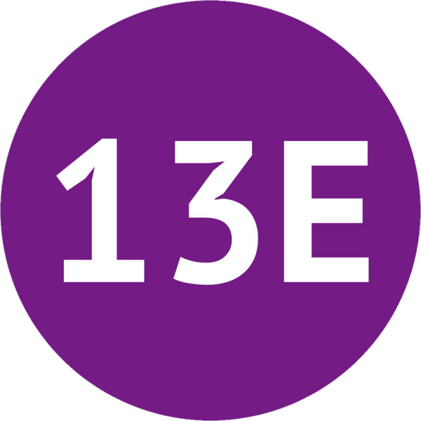 File:TransJakarta roundel 13E.png