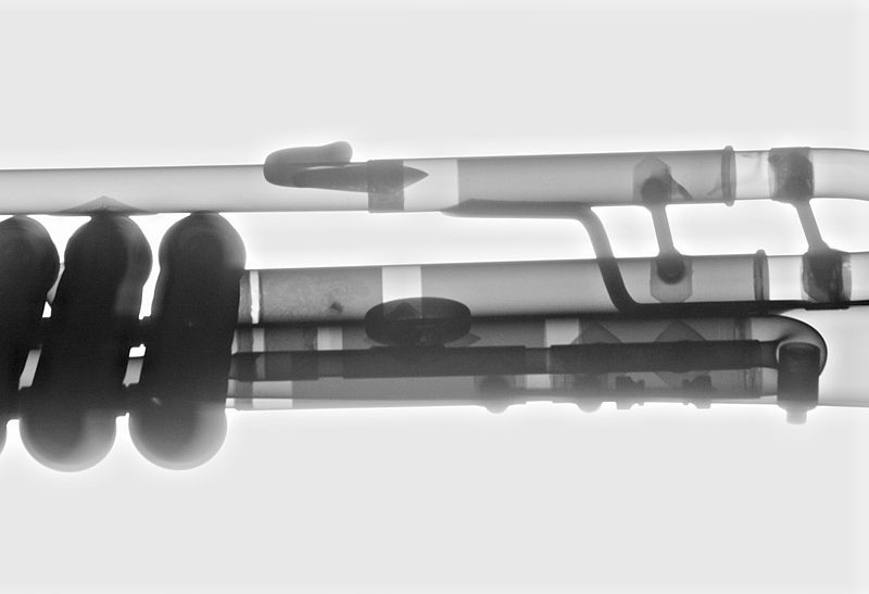 File:Trumpet-XRAY.jpg