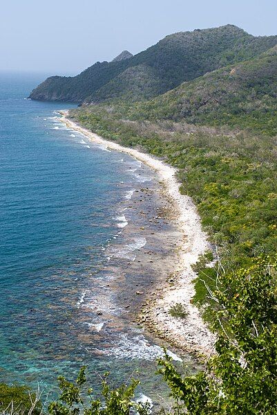 File:Venezuelan Coasts (261805027).jpeg