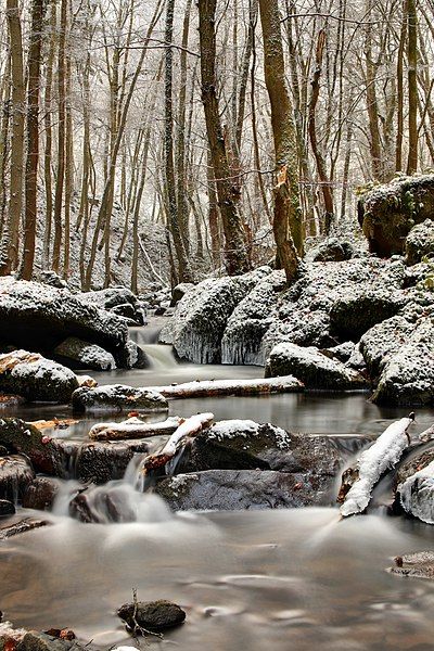 File:Winter im Leukbachtal.jpg