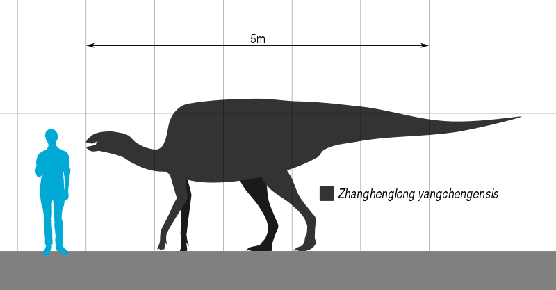 File:Zhanghenglong Scale.svg