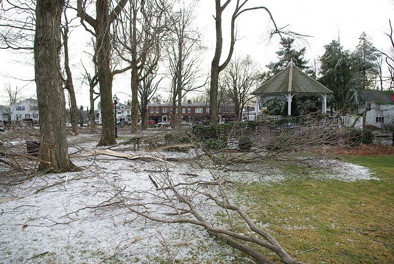 File:20081214-shrewsbury-ice-storm-damage-looking-south-2.jpg