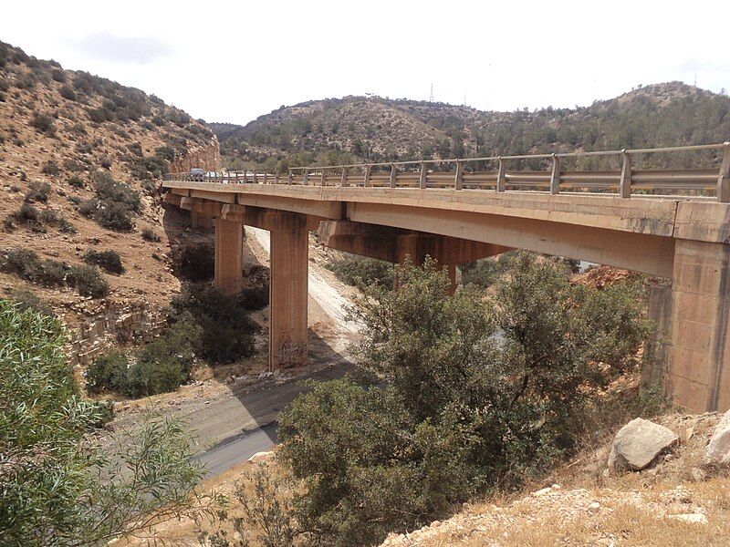 File:Al Bakour bridge1.JPG