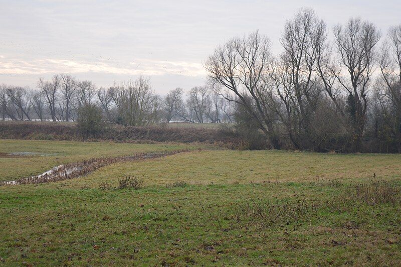 File:Berry Fen 8.jpg