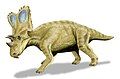 Chasmosaurus, North America