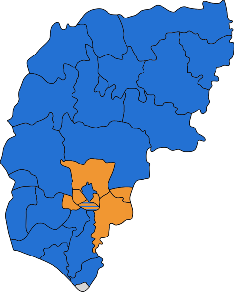 File:ChichesterDistrictelection2007.png