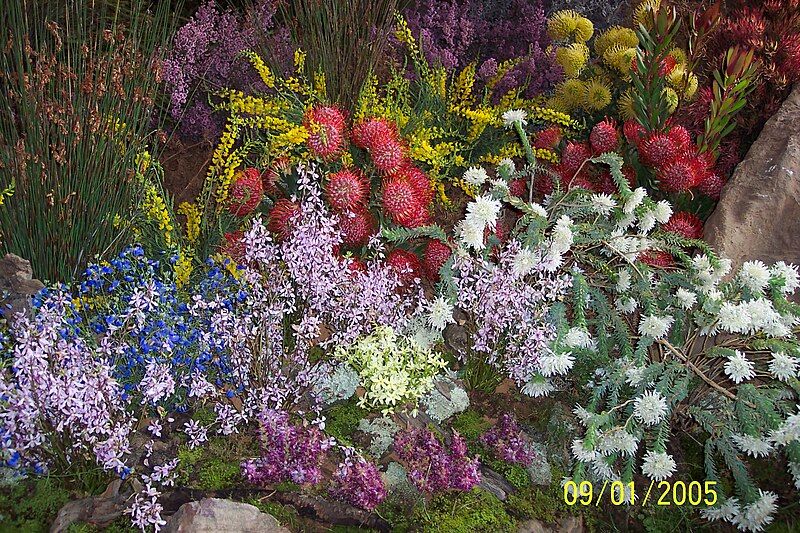 File:Flowershow02ra.jpg