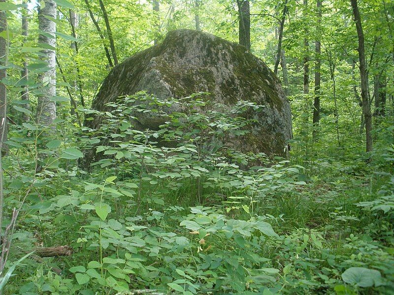 File:Glacial Erratic.jpg