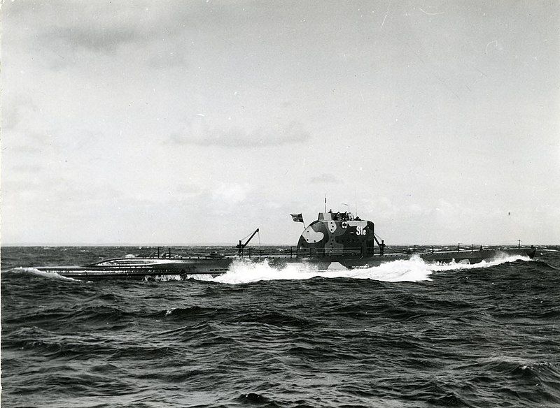 File:HMS Sjölejonet Fo65386AB.jpg