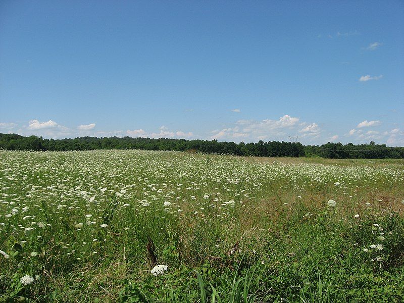 File:Hopewell Mound Group.jpg