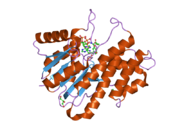 2hrb: Crystal Structure of human Carbonyl Reductase 3, complexed with NADP+