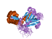 2rnr: Solution structure of the complex between TFIIE alpha C-terminal acidic domain and TFIIH p62 PH domain