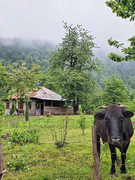 File:Sım kəndi (8).jpg