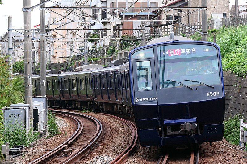 File:Sagami-Railway Series8000 blue.jpg