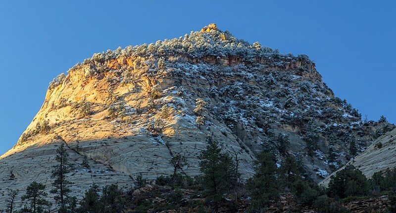 File:Snow-capped Nippetop.jpg