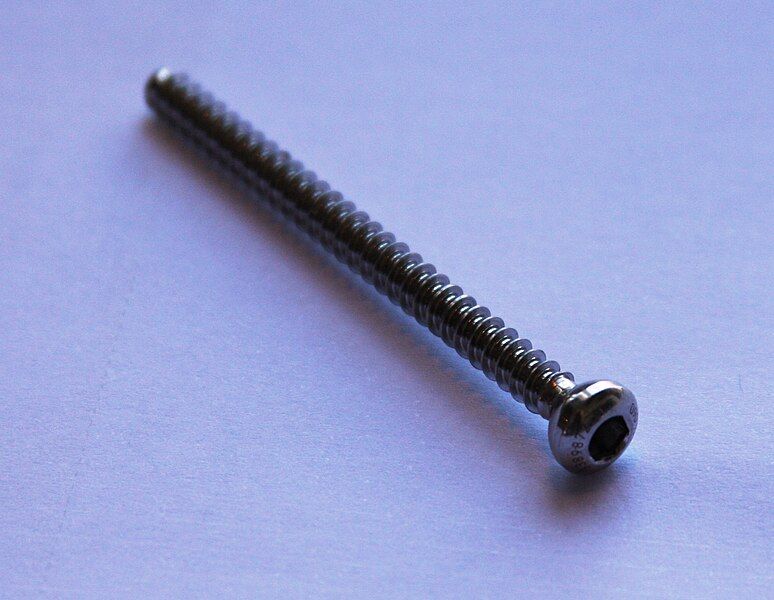 File:Syndesmosis screw 01.JPG