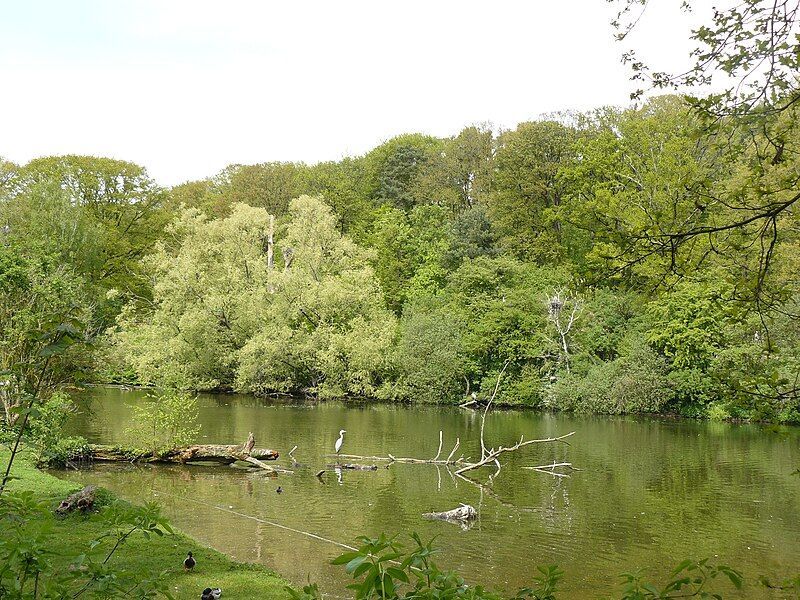 File:Tiergarten Nbg Weiherlandschaft.JPG