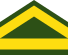 File:Uruguay-Army-OR-4.svg