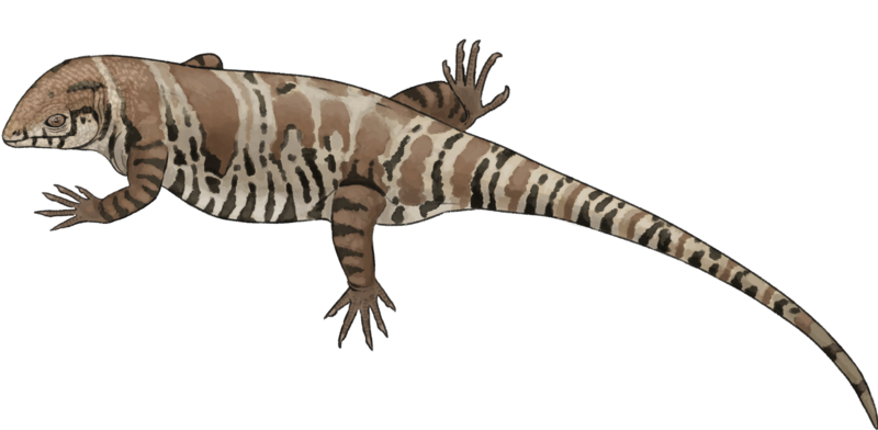 File:Vellbergia Life Reconstruction.png