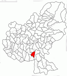 Location in Mureș County