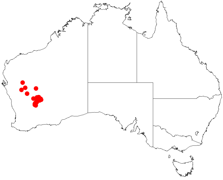 File:Acacia cockertonianaDistMap199.png