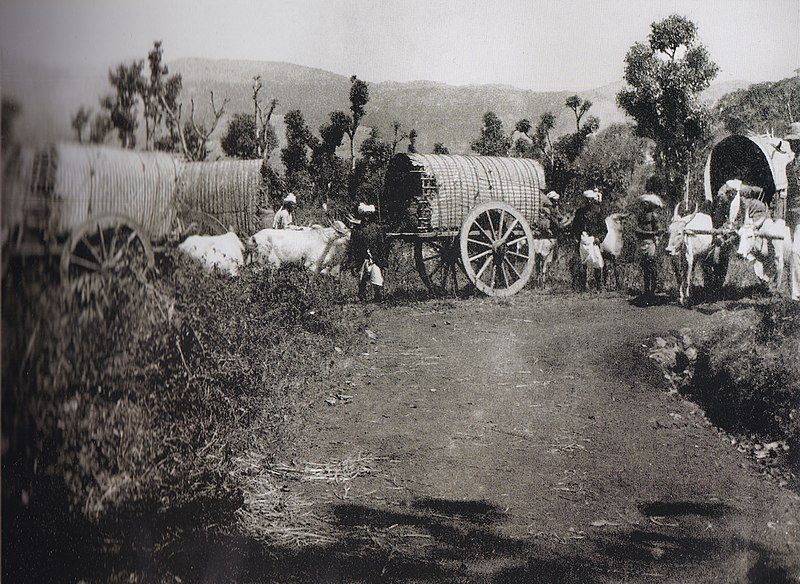 File:Bullock cart train-1-yercaud-salem-India.jpg