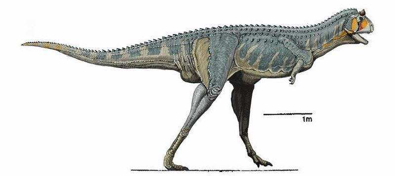 File:Carnotaurus DB.jpg