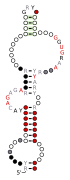 A consensus secondary structure and primary sequence for the docking elbow RNA motif.