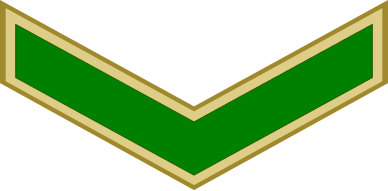 File:EgyptianArmyInsignia-Private.svg