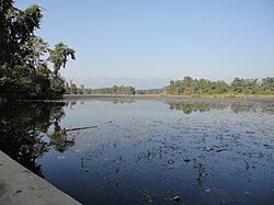 Ghodaghodi Tal, Kailali