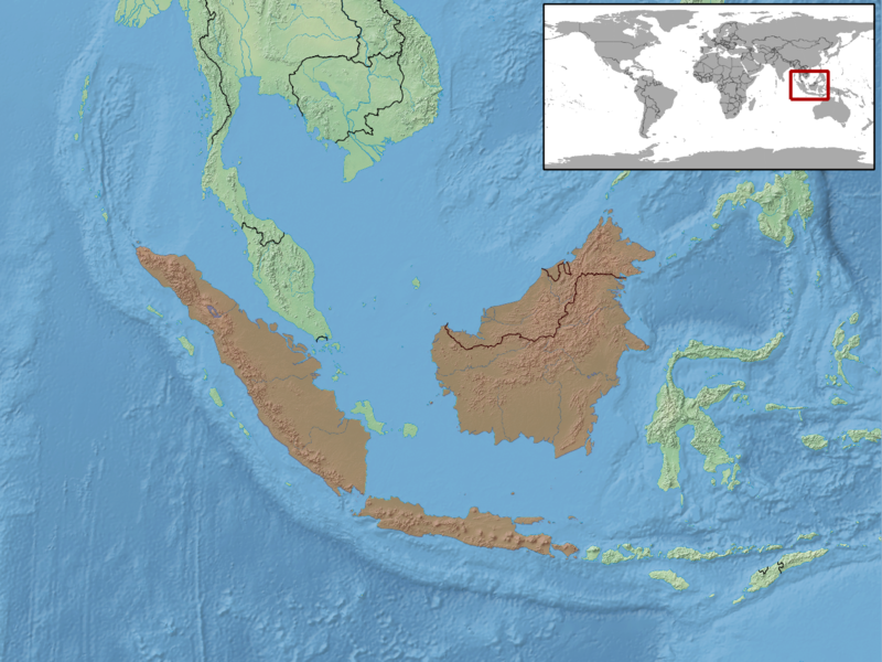 File:Gongylosoma longicauda distribution.png