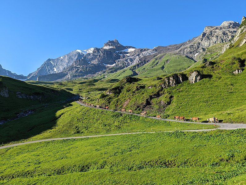 File:Hohtürli Pass.jpg