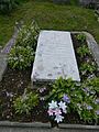 The grave of A. Dobriansky at the cemetery in Čertižné