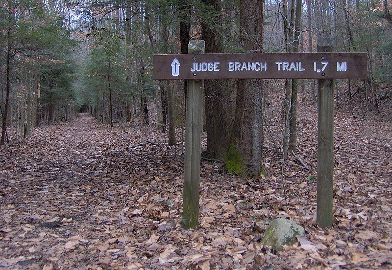 File:Judge-branch-trail-frozenhead-tn1.jpg