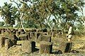 Image 12Megalithic alignments in Senegal (from History of Senegal)