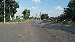 A road in Maksymilianivka