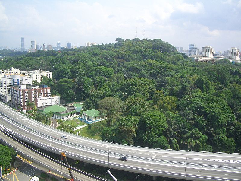 File:Mount faber aerial.JPG